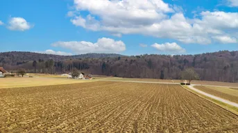 Weitläufige Felder und sanfte Hügel prägen die ländliche Umgebung des Anwesens.