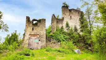 Expose Historische Burgruine mit über 7 Hektar Wald – Einzigartige Liegenschaft mit Potenzial