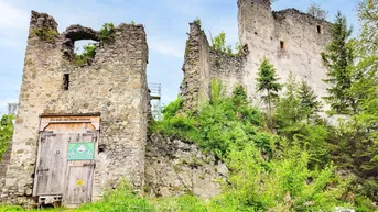 Expose Historische Burgruine mit über 7 Hektar Wald – Einzigartige Liegenschaft mit Potenzial
