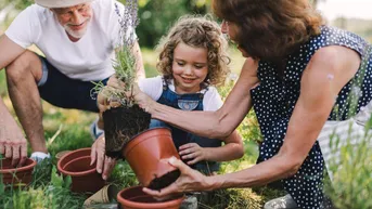 Expose Kleingarten zur Pacht. - Neue Gartenanlage in Planung: Jetzt vormerken lassen!