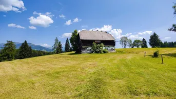 Expose Großes Freiland-Grundstück mit Altbestand in Hochebenenlage bei Kammersberg.