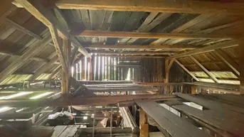 Expose Großes Freiland-Grundstück mit Altbestand in Hochebenenlage bei Kammersberg.
