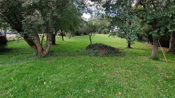 Expose Ideal geschnittenes Baugrundstück in familienfreundlicher Lage.