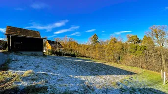 Frostbedecktes Feld mit einem kleinen Holzschuppen und herbstlichen Bäumen unter blauem Himmel.