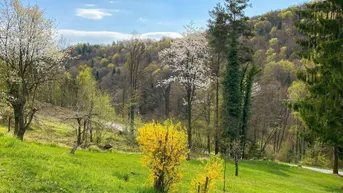 Frühlingslandschaft mit blühenden Bäumen und Sträuchern, umgeben von grünen Hügeln unter blauem Himmel.
