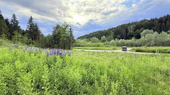 Expose Ideales Grundstück für Ihr Wohnprojekt in der Gemeinde Velden am Wörthersee