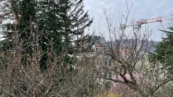 Expose 2-Zimmer Altbauwohnung mit Balkon und Gartennutzung