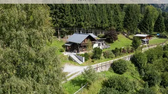 Charmantes Chalet in idyllischer alpiner Umgebung, umgeben von Wald und grünen Wiesen.
