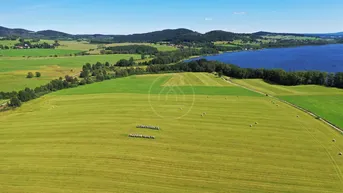 Expose LIPNO REAL: Hochwertiges Ackerland in Seenähe – 92.549 m2 in Pernek