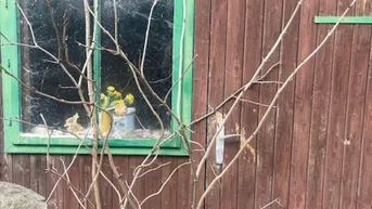 Expose Traumhaftes baubewilligtes Baugrundstück in Brunn am Gebirge - Ihr Eigenheim erwartet Sie!