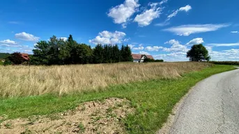 Expose Grundstück Nähe Zwettl - Herrliche Lage für Projekt-Entwicklung