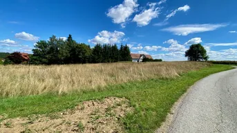 Expose Grundstück Nähe Zwettl - Herrliche Lage für Projekt-Entwicklung