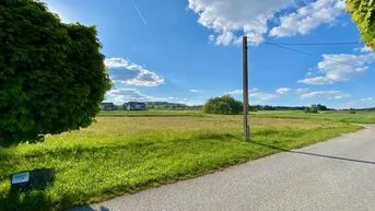 Expose Traumhaftes Grundstück BW mit 1.961 m² in idyllischer Lage in Dietmanns bei Groß Siegharts