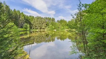 Expose NATURJUWEL WALDVIERTEL - Professionelle Waldteichanlage 4,3 ha