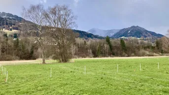 Expose Nenzing Heimat: 600 m2 Sonnentraum mit Weitblick – Ihr Baugrundstück in Nenzing mit unverbaubarer Aussicht