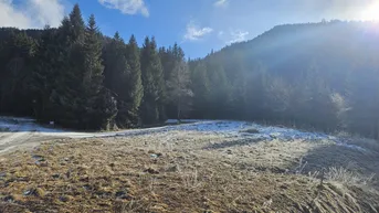 Expose St.Georgen/Kreischberg! - Grundstück mit Abbruchhaus für Investoren!