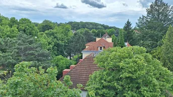 Expose Tolle 4 Zimmer Dachterrassenwohnung im Althietzinger Cottage