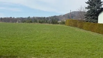 Weitläufiges grünes Feld mit Hecke und Blick auf die umliegende Landschaft und Hügel.