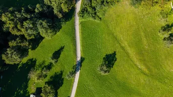 Expose Traumhaftes Grundstück in Zwischenwasser mit ca. 550m² Grundstücksfläche!