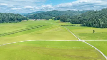 Expose Landwirtschaftliche Nutzfläche in Neumarkt am Wallersee
