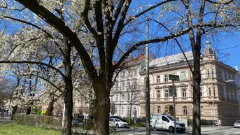 Expose SANIERTER ALTBAU STADTPARK-BLICK ohne provision