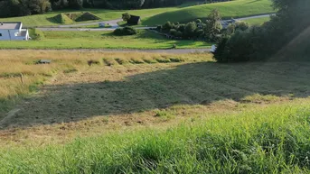 Expose Baugrundstück OHNE Bauzwang auf einem sonnigen Hang in Haibach im Mühlkreis