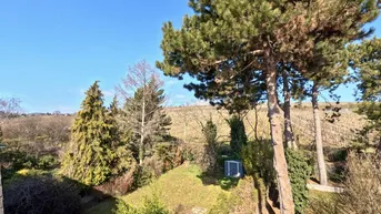 Expose KOFFER PACKEN und EINZIEHEN - NUSSBERG - wunderschön gelegene Wohnung mit Dachterrasse und Blick über Wien und den Wiener Nussberg