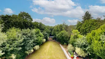 Weitläufiger Garten mit Rasenfläche, umgeben von dichtem Baumbestand unter blauem Himmel.