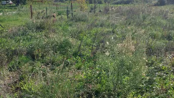 Expose Landwirtschaftliche Wasserverbindung zum Marčani-Land