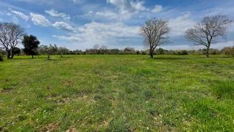 Expose ISTRIA - BALE Ackerland mit Wasser auf dem gleichen