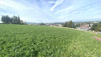 Weitläufige grüne Landschaft mit Blick auf eine entfernte Ortschaft unter blauem Himmel.