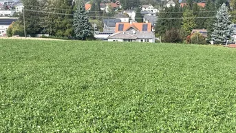 Expose Baugrundstück 177/18 mit 720m² in Eberschwang