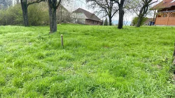 Expose Großzügiges Baugrundstück OHNE BAUVERPFLICHTUNG in Pesendorf