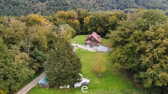 Expose NEUER PREIS! Stadtrand-Landhaus in Steyregg mit rd. 5700m² Grundstück in idyllischer Alleinlage!
