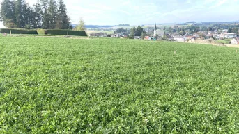 Expose Baugrundstück 177/28 mit 714m² in Eberschwang