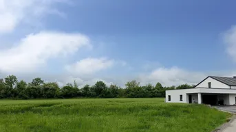 Modernes weißes Haus mit Carport am Rande eines weiten grünen Feldes unter blauem Himmel.