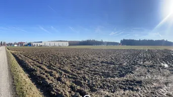Expose 20.000m² Betriebsbaugrund in Steinhaus, Oberösterreich!
