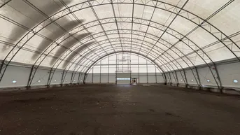 Expose Preiswerte Lagerfläche in Golling