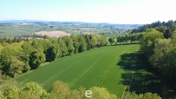 Expose Acker mit 1,4ha in St. Marienkirchen a.d.Polsenz
