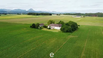 Expose Vierkanthof in idyllischer Alleinlage