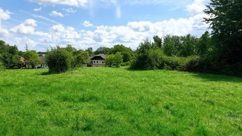 Expose Baugrundstück ohne Bauzwang in Weibern/Pesendorf - Preis auf Anfrage!