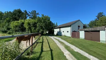 Expose Für Reiter und Pferdeliebhaber, Wohnhaus mit eigenem Reitstall und Koppeln direkt hinter dem Haus