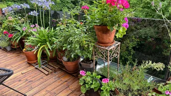 Expose In bester Lage - Nähe Botanischer Garten -sehr schöne, sorgfältig renovierte Altbauwohnung