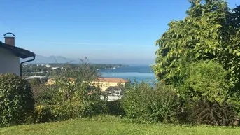 Expose Hübsches Garten Apartment in TOP Lage sucht ruhige(n) Mieter...