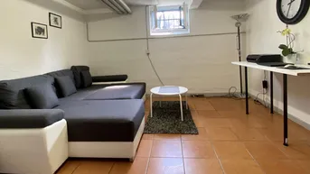 Expose Downstairs Apartment With Garden Furnished 