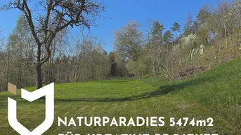 Expose NATURPARADIES 5474m2 FÜR KREATIVE PROJEKTE