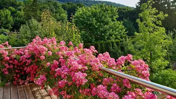 Sonniger Balkon mit Holzbelag, üppigen Rosenbüschen und weitem Blick ins Grüne.