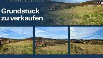 Expose Großes Grundstück in traumhafter Lage von Bad Großpertholz | Fernblick
