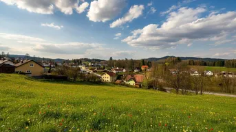 Expose Weitläufiges Grundstück in Bad Großpertholz – Traumlage inmitten der Natur mit Fernblick