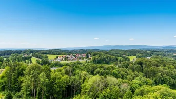 Weitläufige Landschaftsaufnahme mit Blick auf ein Dorf, umgeben von dichten Wäldern und sanften Hügeln.
